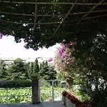 Plavi Zal