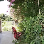 Plavi Zal *
