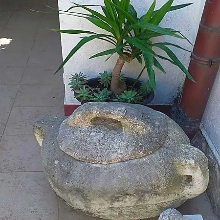Plavi Zal
