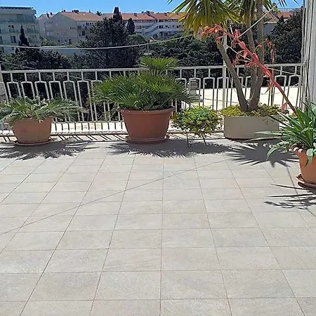 Plavi Zal *