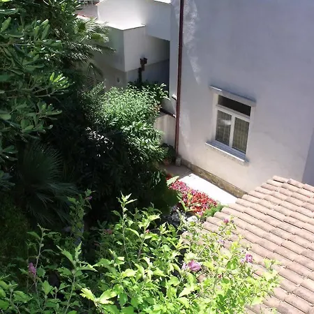 Apartment Plavi Zal