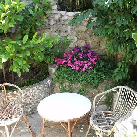 Plavi Zal