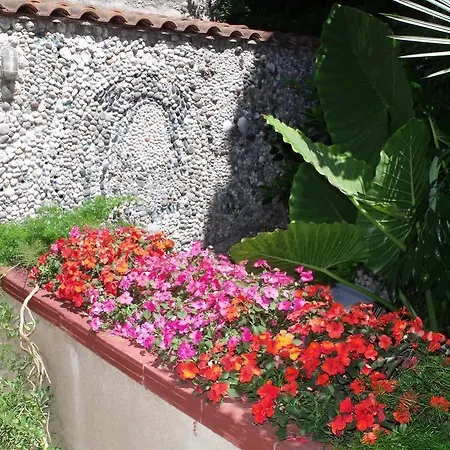 Apartment Plavi Zal
