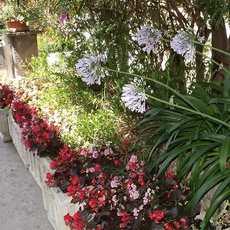 Apartment Plavi Zal