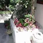 プラヴィ ザウ *